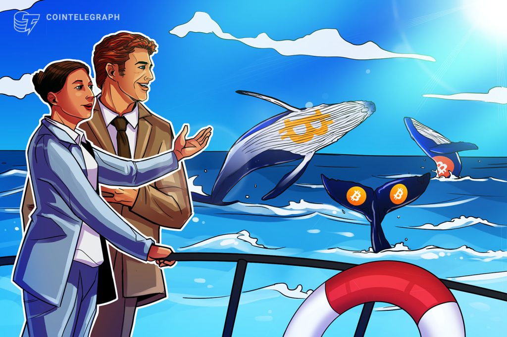 Bitcoin Whales Due Credit score for $64,000 BTC Worth Rebound, Says CryptoQuant Cointelegraph
